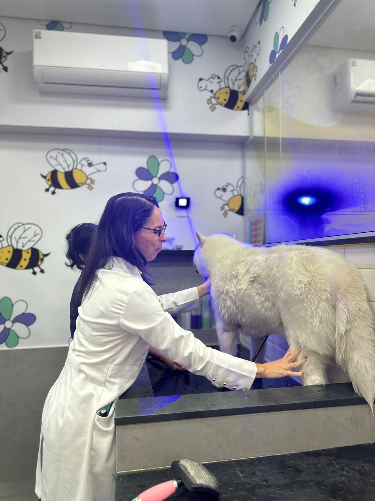 Atendimento veterinário dermatológico para cachorros no Clube04