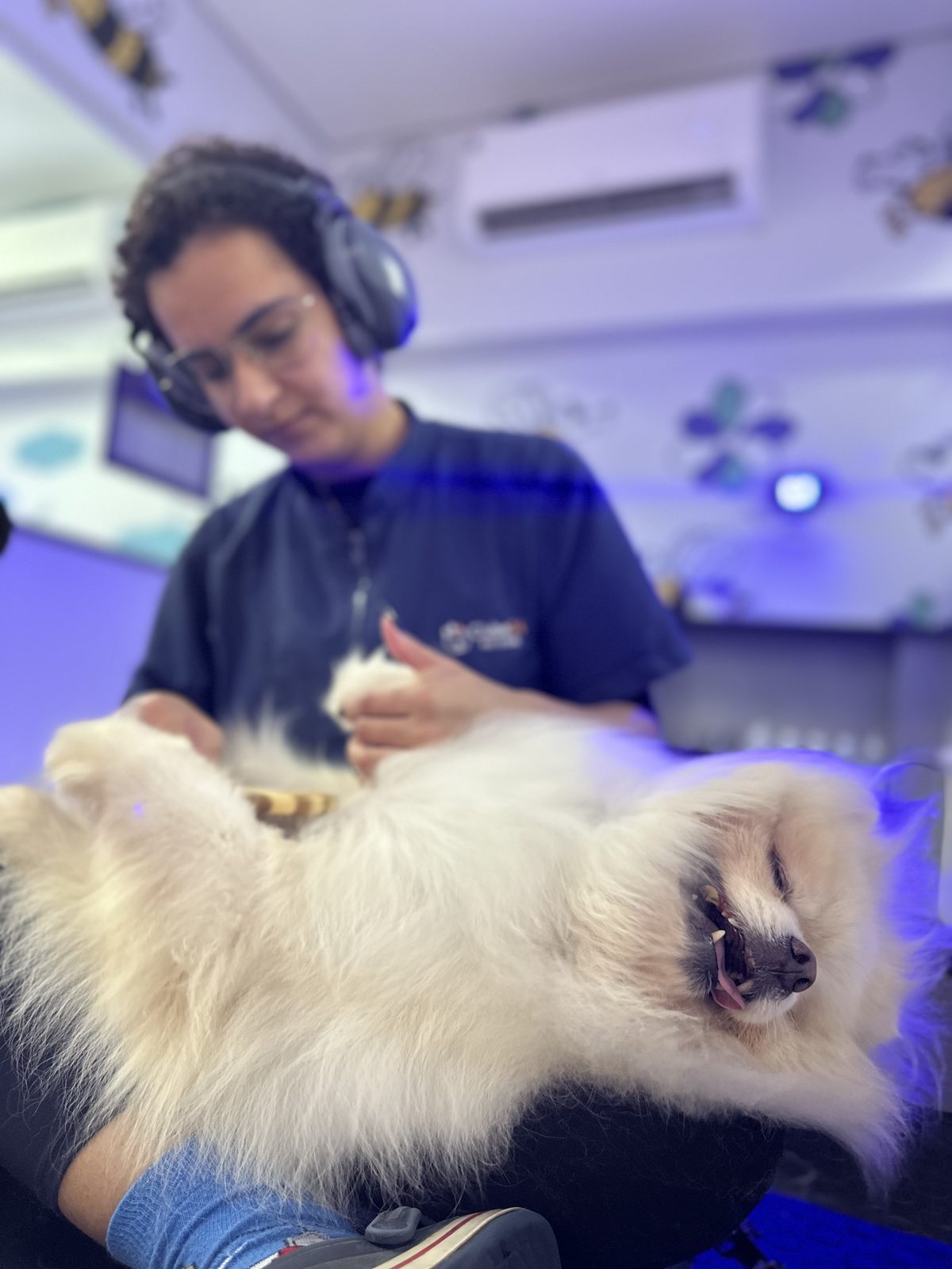 Banho de cachorro com massagem relaxante no Clube04 pet shop